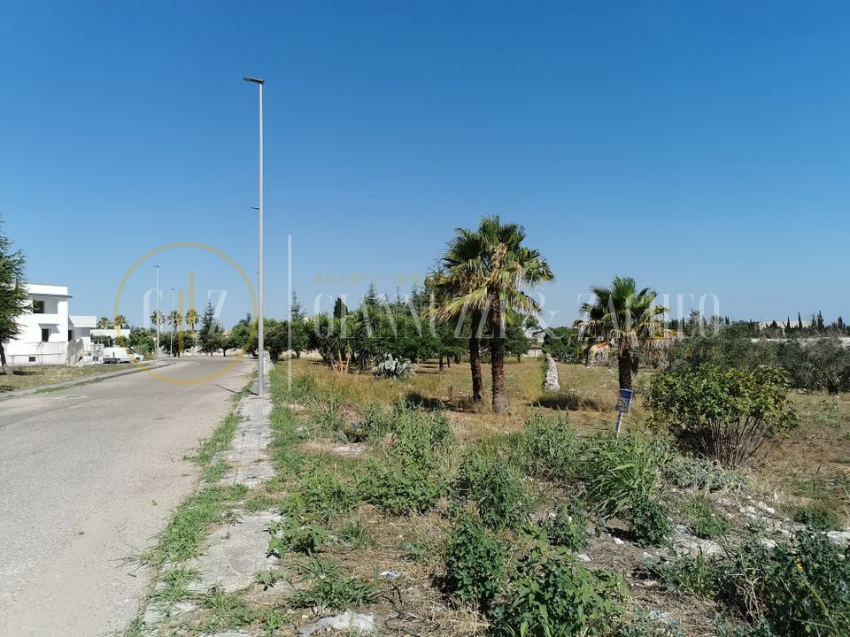 Tomt i Carpignano Salentino, Lecce - bilde 5